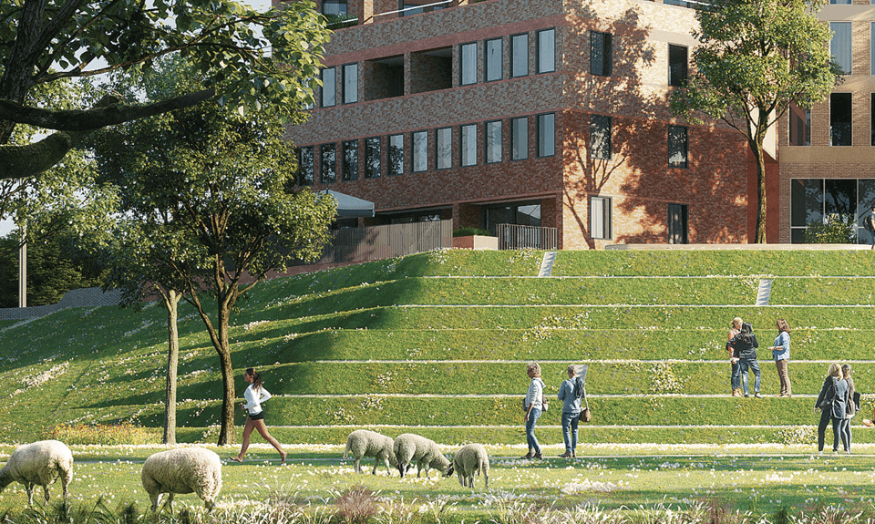 Bellevue Utrecht schapen